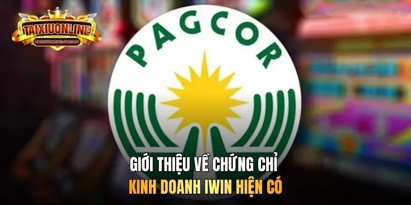 Giới thiệu về chứng chỉ kinh doanh iWin hiện có